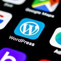 WordPress Websites